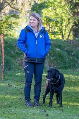 k-RO LM T&amp;V 20-10-2024 002