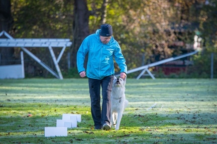 k-RO LM T&amp;V 20-10-2024 004