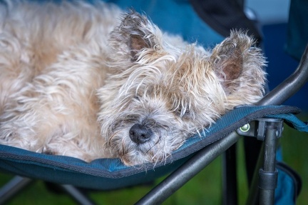 k-RO LM T&amp;V 20-10-2024 006