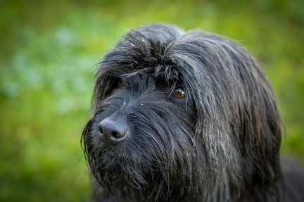 k-RO LM T&amp;V 20-10-2024 008