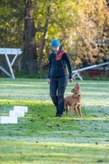 k-RO LM T&amp;V 20-10-2024 011