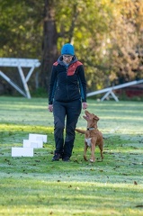 k-RO LM T&amp;V 20-10-2024 012