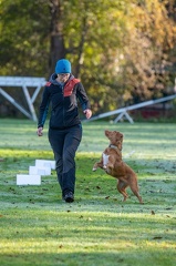 k-RO LM T&amp;V 20-10-2024 013