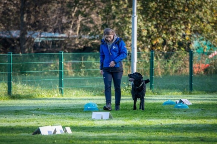 k-RO LM T&amp;V 20-10-2024 017