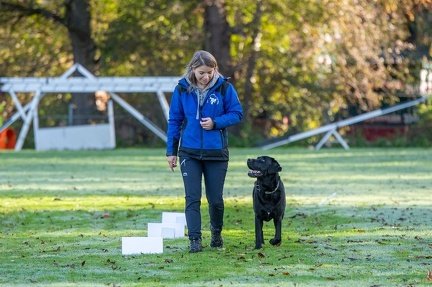 k-RO LM T&amp;V 20-10-2024 019