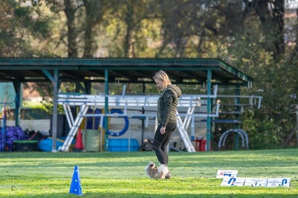 k-RO LM T&amp;V 20-10-2024 021