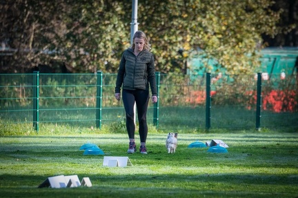 k-RO LM T&amp;V 20-10-2024 022