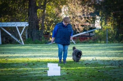 k-RO LM T&amp;V 20-10-2024 025