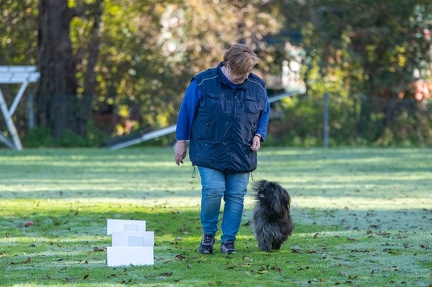 k-RO LM T&amp;V 20-10-2024 026