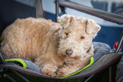 k-RO LM T&amp;V 20-10-2024 028