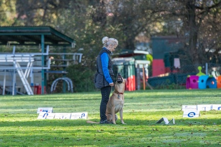 k-RO LM T&amp;V 20-10-2024 037