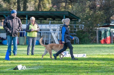 k-RO LM T&amp;V 20-10-2024 036