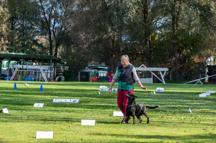 k-RO LM T&amp;V 20-10-2024 043