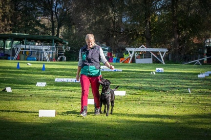 k-RO LM T&amp;V 20-10-2024 044