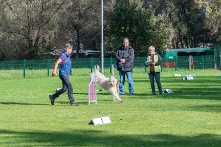 k-RO LM T&amp;V 20-10-2024 047