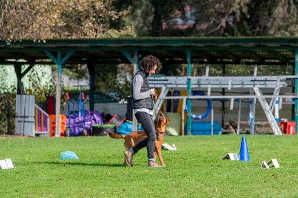 k-RO LM T&amp;V 20-10-2024 050