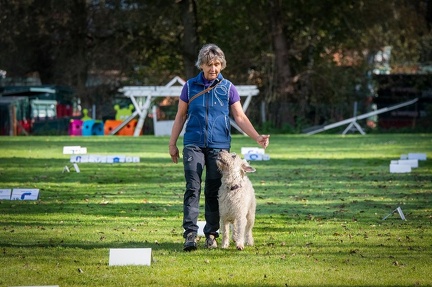 k-RO LM T&amp;V 20-10-2024 049