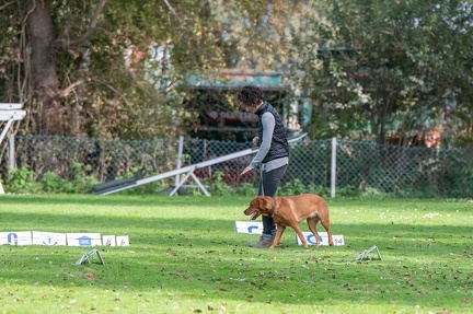 k-RO LM T&amp;V 20-10-2024 052