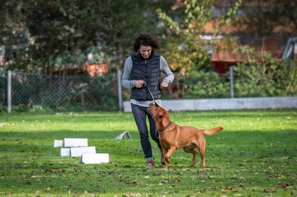 k-RO LM T&amp;V 20-10-2024 053