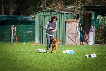 k-RO LM T&amp;V 20-10-2024 051