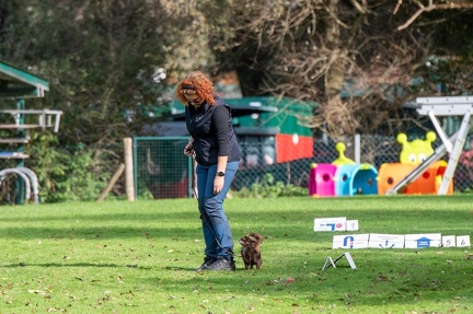 k-RO LM T&amp;V 20-10-2024 054