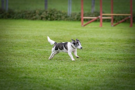 k-HVD VM 26-10-2024 007