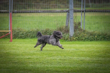 k-HVD VM 26-10-2024 013