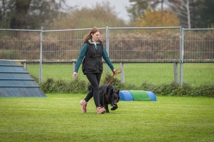 k-HVD VM 26-10-2024 015