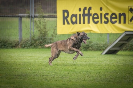 k-HVD VM 26-10-2024 024