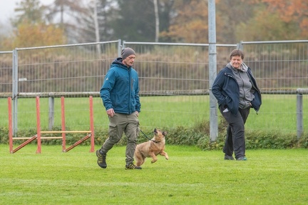 k-HVD VM 26-10-2024 025