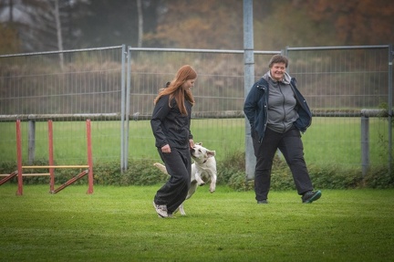 k-HVD VM 26-10-2024 030