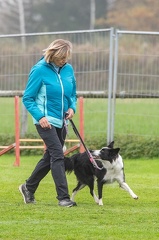 k-HVD VM 26-10-2024 031