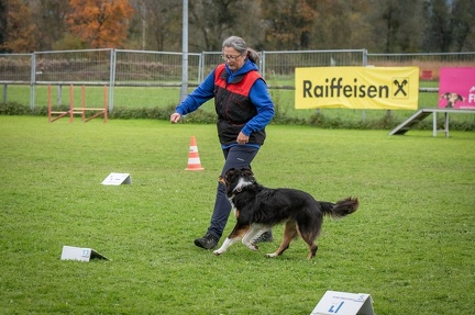 k-HVD VM 26-10-2024 036