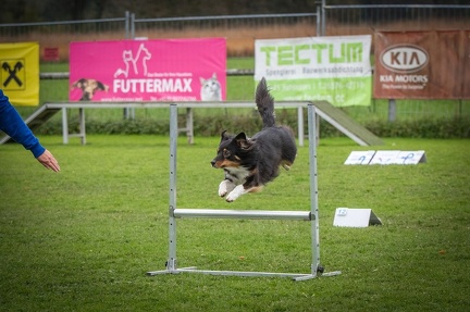 k-HVD VM 26-10-2024 035