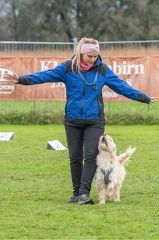 k-HVD VM 26-10-2024 038