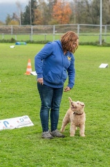 k-HVD VM 26-10-2024 042