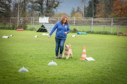 k-HVD VM 26-10-2024 045