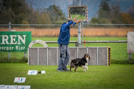 k-HVD VM 26-10-2024 052