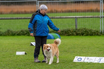 k-HVD VM 26-10-2024 057