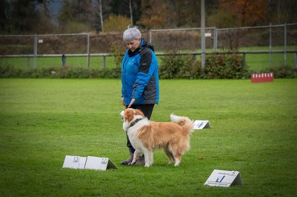 k-HVD VM 26-10-2024 059