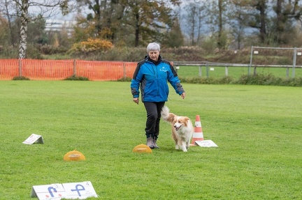 k-HVD VM 26-10-2024 060