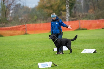 k-HVD VM 26-10-2024 064