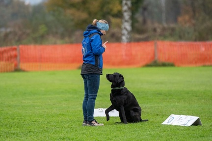 k-HVD VM 26-10-2024 065