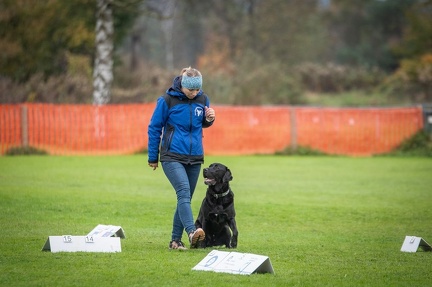 k-HVD VM 26-10-2024 067