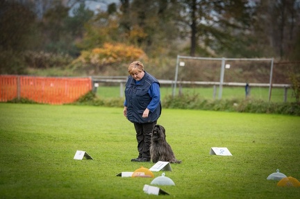 k-HVD VM 26-10-2024 070