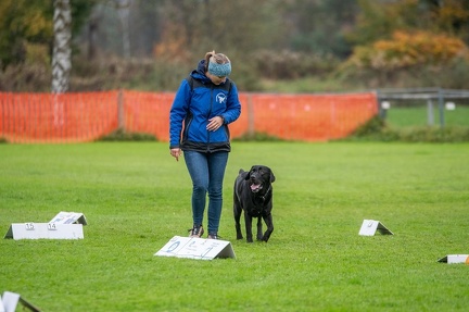 k-HVD VM 26-10-2024 068