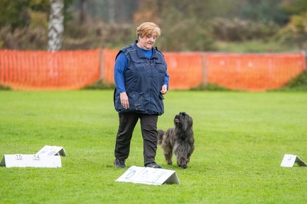 k-HVD VM 26-10-2024 075