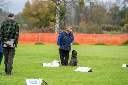 k-HVD VM 26-10-2024 073