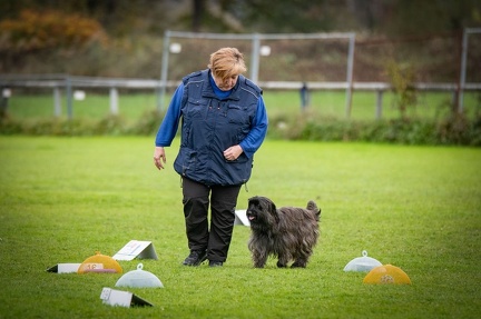 k-HVD VM 26-10-2024 076