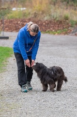 k-HVD VM 26-10-2024 079